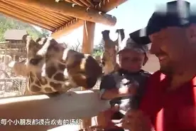 实拍：7岁女孩喂海豚，整只手被海豚咬进嘴里！视频封面