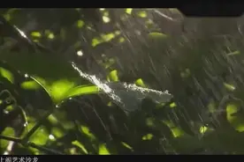 陈悦笛子独奏：《追风的女儿》视频封面