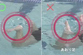 日本高安亮蛙泳教程