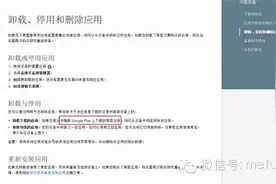 “回归”在即 中国版Google Play截图泄露 | 蜜蜂网图片