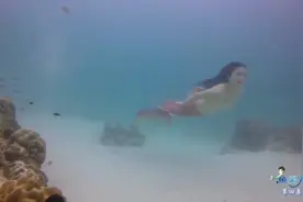 《鱼美男》女主跳进大海变身成美人鱼，这段女主真的美翻了视频封面