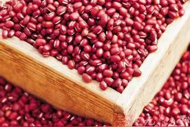 赤小豆的作用有哪些图片