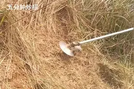 解放生产力，提升农业机器化，这样的割草设备，减轻农民负担视频封面