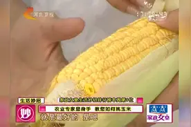 用这个小方法挑选玉米，包你每天都能吃到好吃的玉米