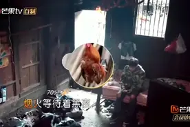 《变形计》城市少年唱歌打发时间，公鸡在一旁伴奏
