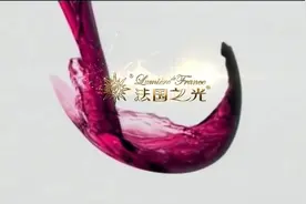 法国之光葡萄酒宣传片