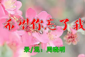 一首催泪情歌《 希望你忘了我》唱的太好听了听完我的心憔悴了视频封面