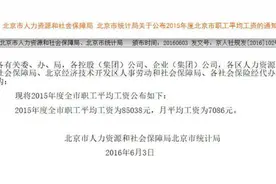 10分钟搞定：北京社保基数核定简易教程视频封面