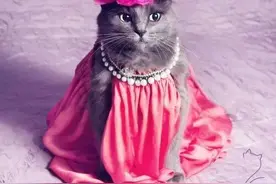 今日话题：你家喵星人爱吃什么“奇怪的东西”？图片