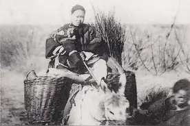 清末女性影像：骑驴出门，逛街时笑靥如花，有人被外国兵凌辱图片