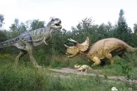 寻找真龙化石图片