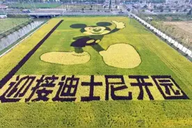 上海迪士尼今日开园：禁带自拍杆、矿泉水10元一瓶图片