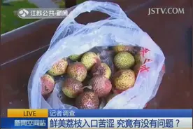 鲜美荔枝入口苦涩 究竟有没有问题？图片