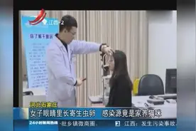 女子眼睛里长寄生虫卵 感染源竟是家养猫咪视频封面
