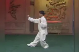 杨军演练杨式太极拳103式（带口令）视频封面