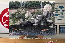 养鱼不死靠增氧，推荐三种增氧的方法，适合大多数的水族设备视频封面