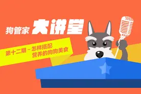 第十二期大讲堂 怎样搭配营养的狗狗美食图片