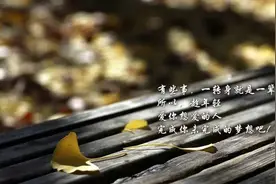 文艺|我变成了你喜欢的样子图片