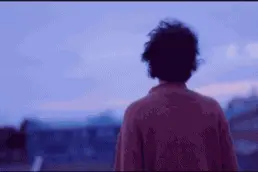 窦靖童丨一只迎风而上的风筝图片