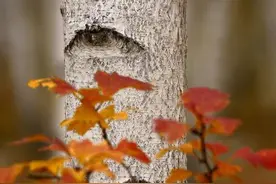 最美好的注视，是两个人一起看向同一个方向图片