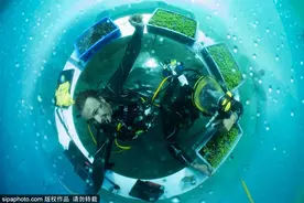 海底农场：打造迷人童话花园图片