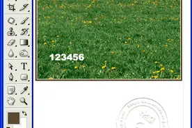 6个新手PS去水印教程，一学即会！新技能get图片