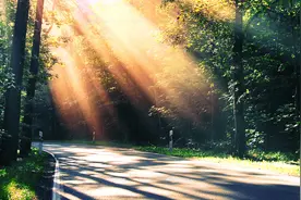 女人用一辈子下赌一个男人，讲的是智慧，但最后还得靠运气图片