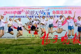 美丽旅游天使“展翅”扬州高邮湖芦苇荡图片