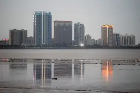 金科曲线入深圳，从百亿到千亿还差什么图片