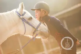 每天洗马、喂食……从白领到教练 她希望与马儿相处一辈子图片