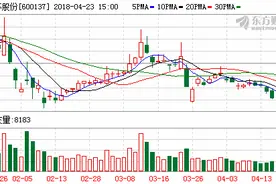 上市20年首次分红！浪莎股份不卖袜子卖短裤 近两年盈利靠理财图片