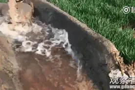 “红水浇地”曝光了 用红水浇灌出的小麦却去向不知图片