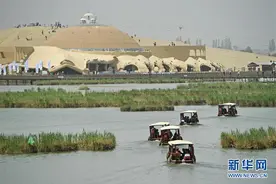 第七届宁夏沙湖国际观鸟节启动图片