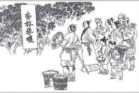 四川发现｜中医中常见的“杏林”一词是怎么来的？出自什么典故？图片