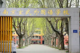 不看校外证书，更没举办面谈辅导班！玄外回复小升初热点问题图片