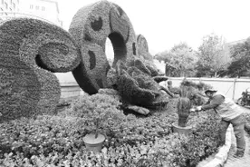 花坛、花球……花香满街头图片