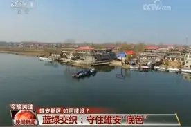 蓝绿交织：守住雄安“底色”图片