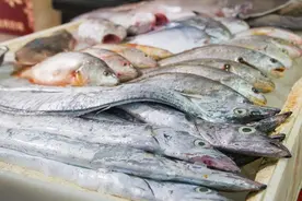 5月1日后这8种水产品全省禁销 养殖和进口海鲜来补位图片