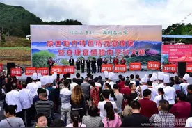 陕西地方特色宴席暨美食大赛燃爆最美乡村平利图片