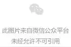 35选1，湖南粮食集团旗下子公司中签观沙岭限价地图片