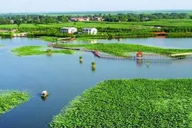 「雄安新区 如何建设？」蓝绿交织：守住雄安“底色”视频封面