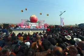 河北省深州市以花为媒 借助桃花节推广特色产业图片