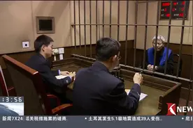 涉嫌非法吸收公众存款 “善林金融”8人被批捕视频封面