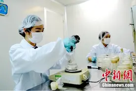 销量领先和成天下槟榔新工艺保障食品安全图片