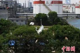 镇海炼化释放绿色发展动能 实现资源高利用图片