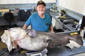 美国佛罗里达州男子用非传统方法钓到超大鲶鱼 不获FWC承认为新纪录图片