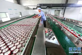 江西“白莲之乡”研发荷叶茶开拓市场图片