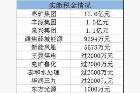 枣庄30家龙头骨干工业企业一季度生产经营和项目建设情况公布图片