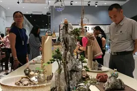 “药中黄金”沉香原来可以这样“品”图片