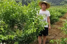 逃离北上广，北大选调生在广西迎来又一春图片